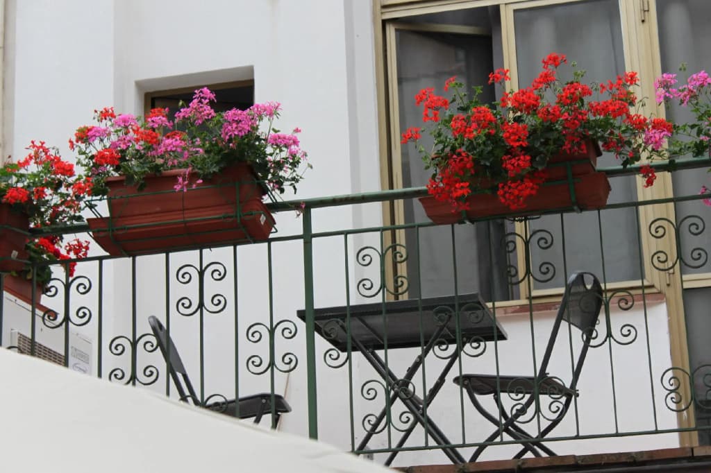 Hotel Dalmazia - photo 16