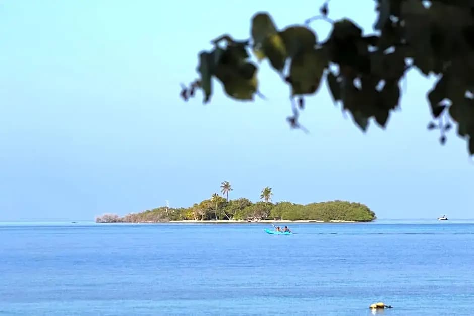 Rasdhoo Wave Blue - photo 13