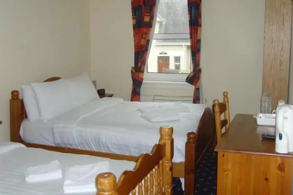 Twin Lions Hotel - photo 5