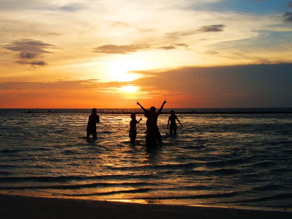 Shiralea Island Resort - photo 19
