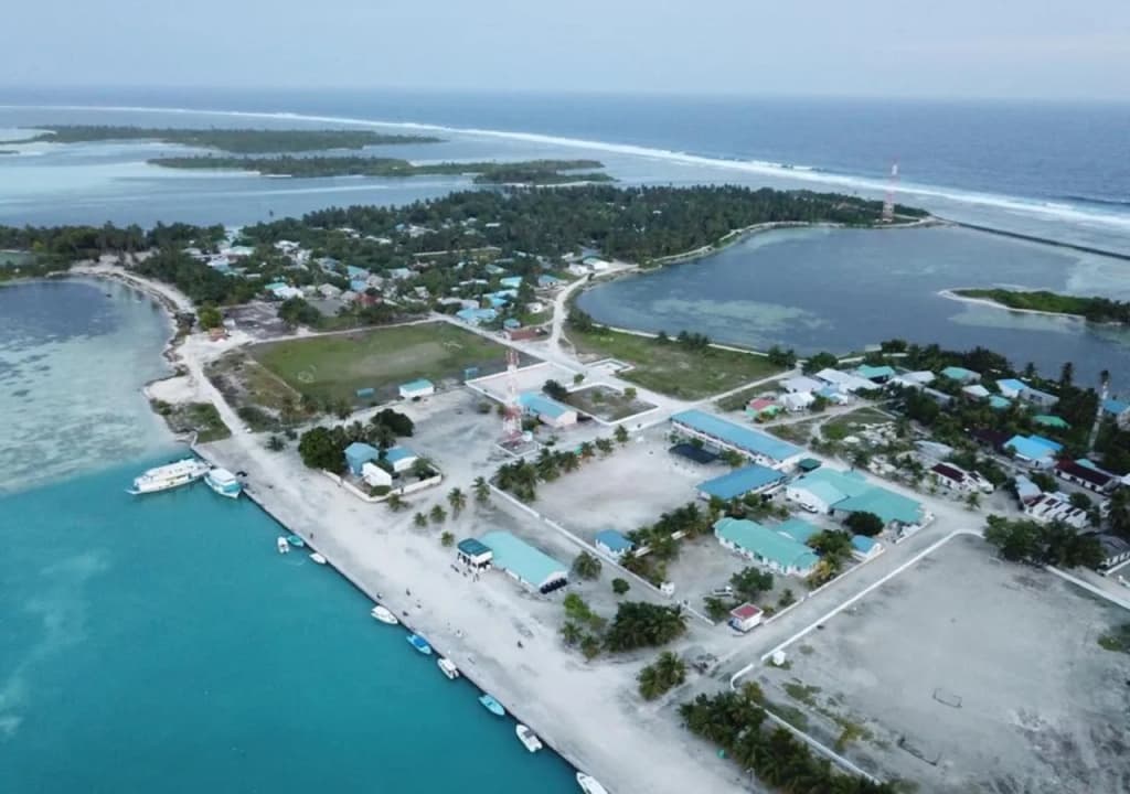 Small Island Lodge - photo 6