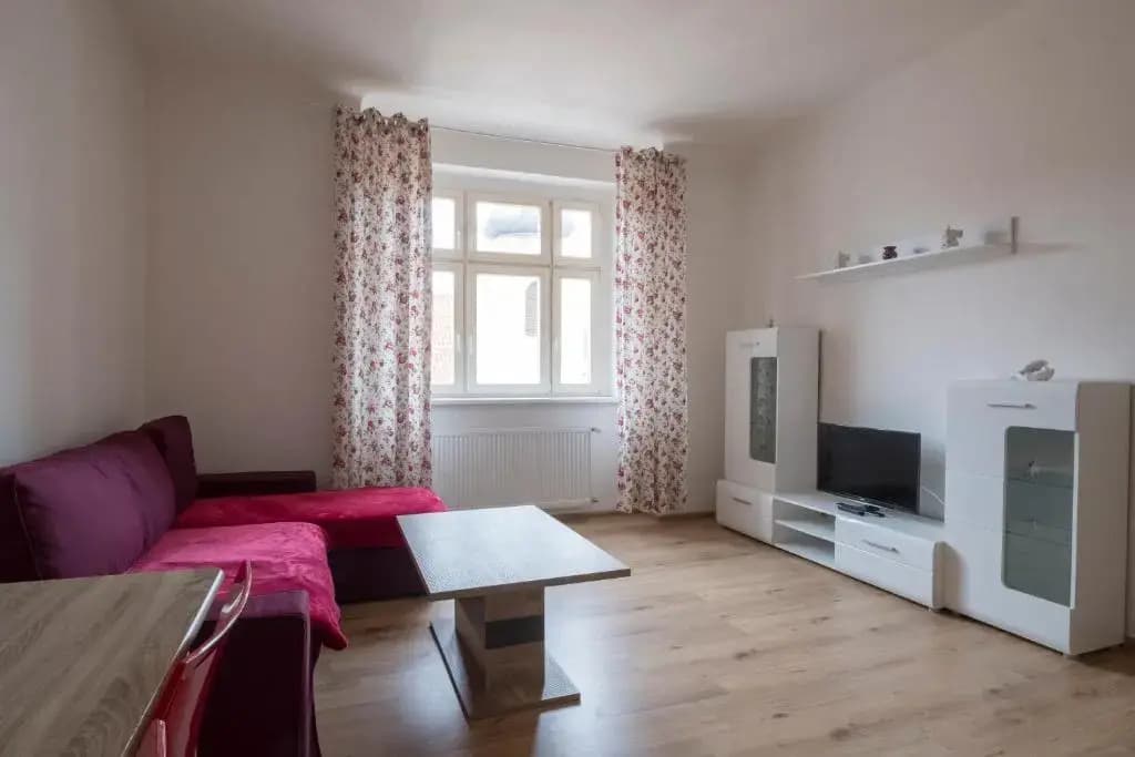 Downtown Apartments Prague - photo 2