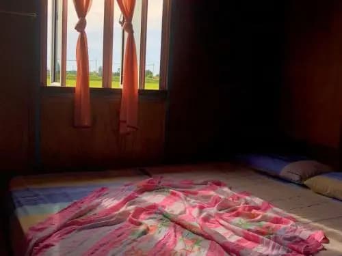 Epic Sunrise + Paddy Fields + Breakfast = Bliss! - main photo