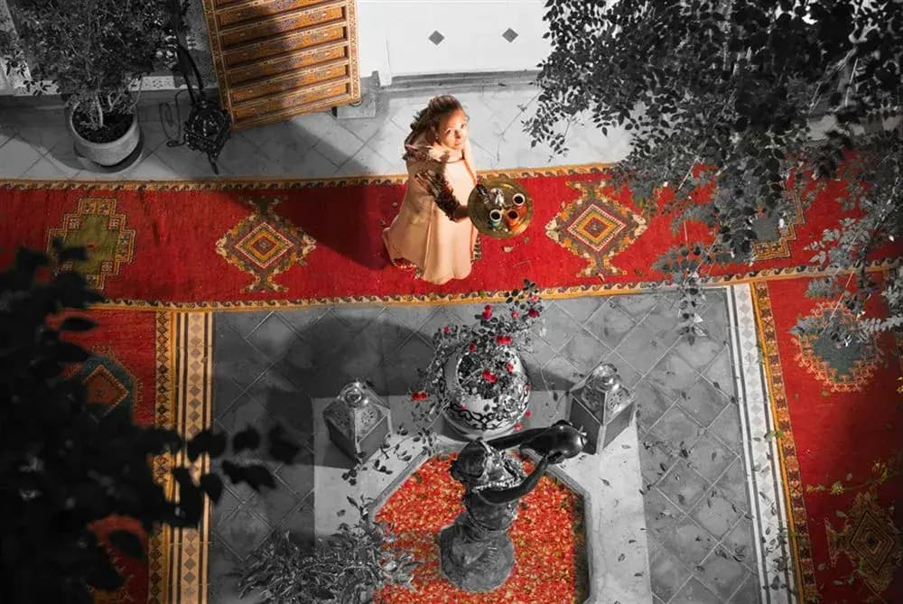 Dar Eliane - photo 16