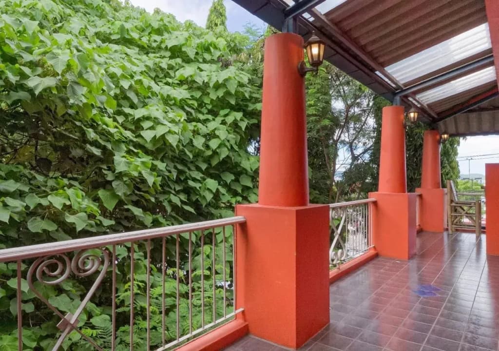 Anda Orange Pier Guesthouse - photo 32