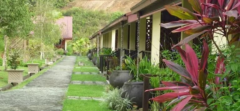 Manis Manis Nature Resort & Spa - photo 9