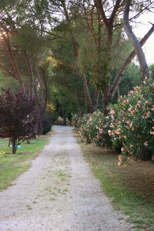 Green Oasis B&B - photo 14