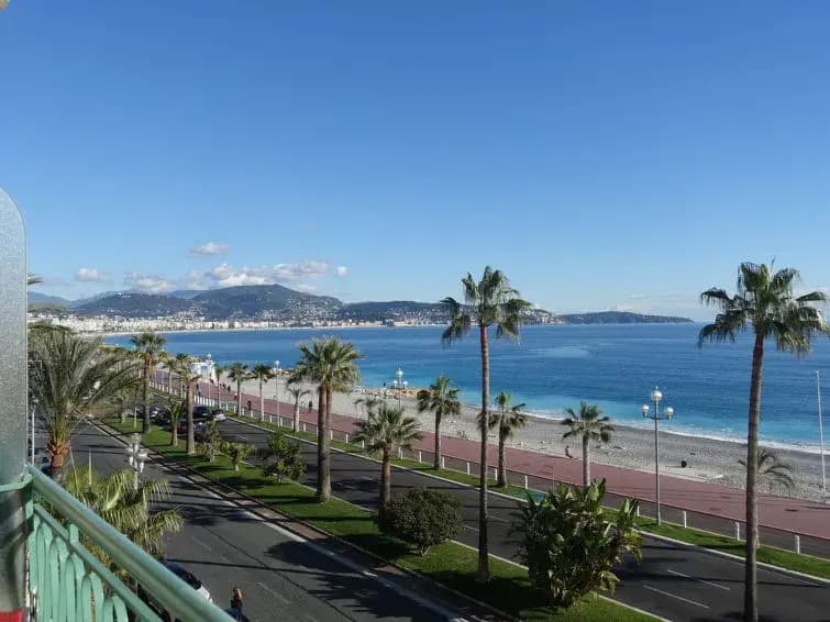 Les Yuccas Promenade des Anglais - photo 6