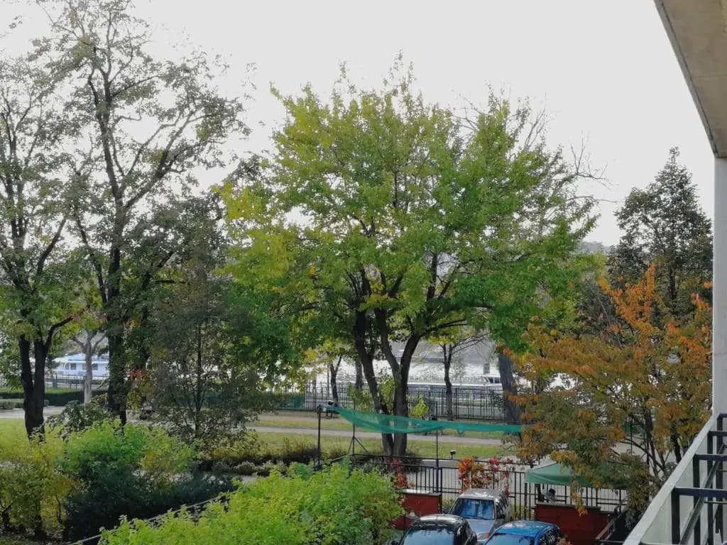 Danube apartment - photo 10