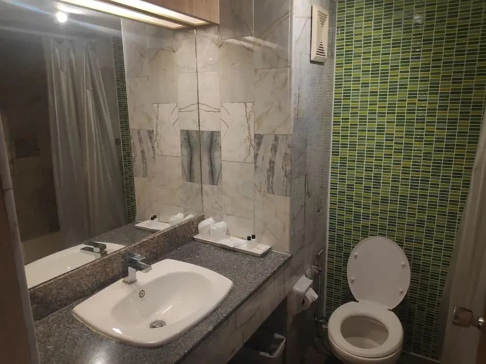 Hotel York Palace - photo 7
