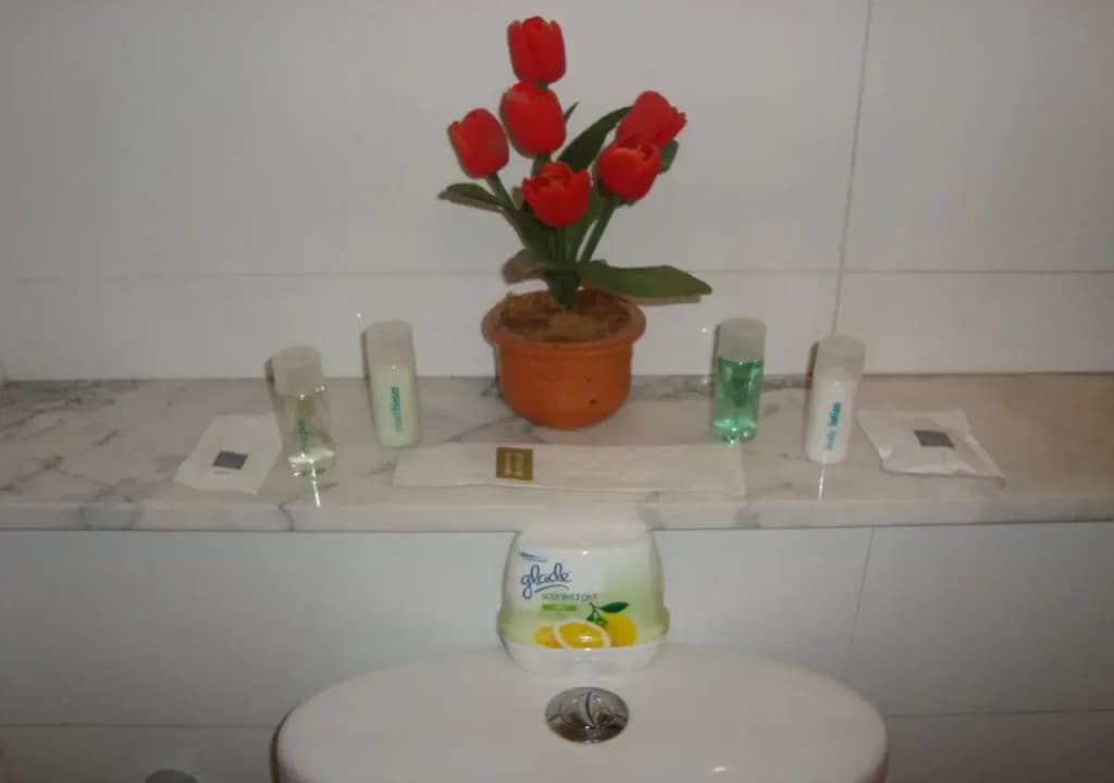 Beesplace Guesthouse - photo 8