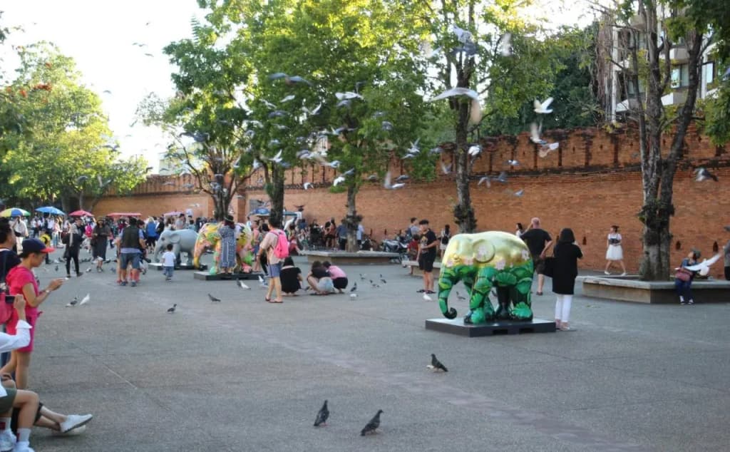 Z's Hostel at Tha Phae Gate - photo 16