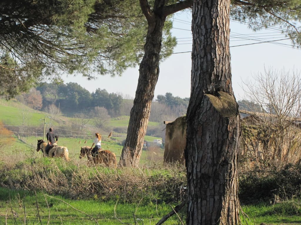 Parco delle Nazioni - Relax Grand Resort - photo 17