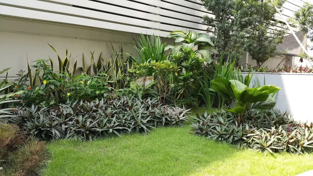 An Phu Plaza Serviced Apartment - photo 17