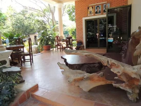 Angkor Oasis Condominium - photo 11