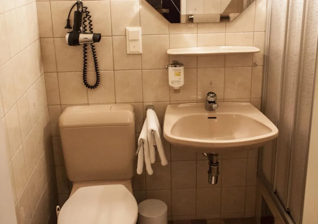 SHS-Hotel Fürstenhof - photo 13