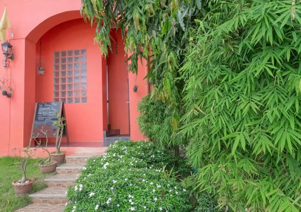 Anda Orange Pier Guesthouse - photo 29