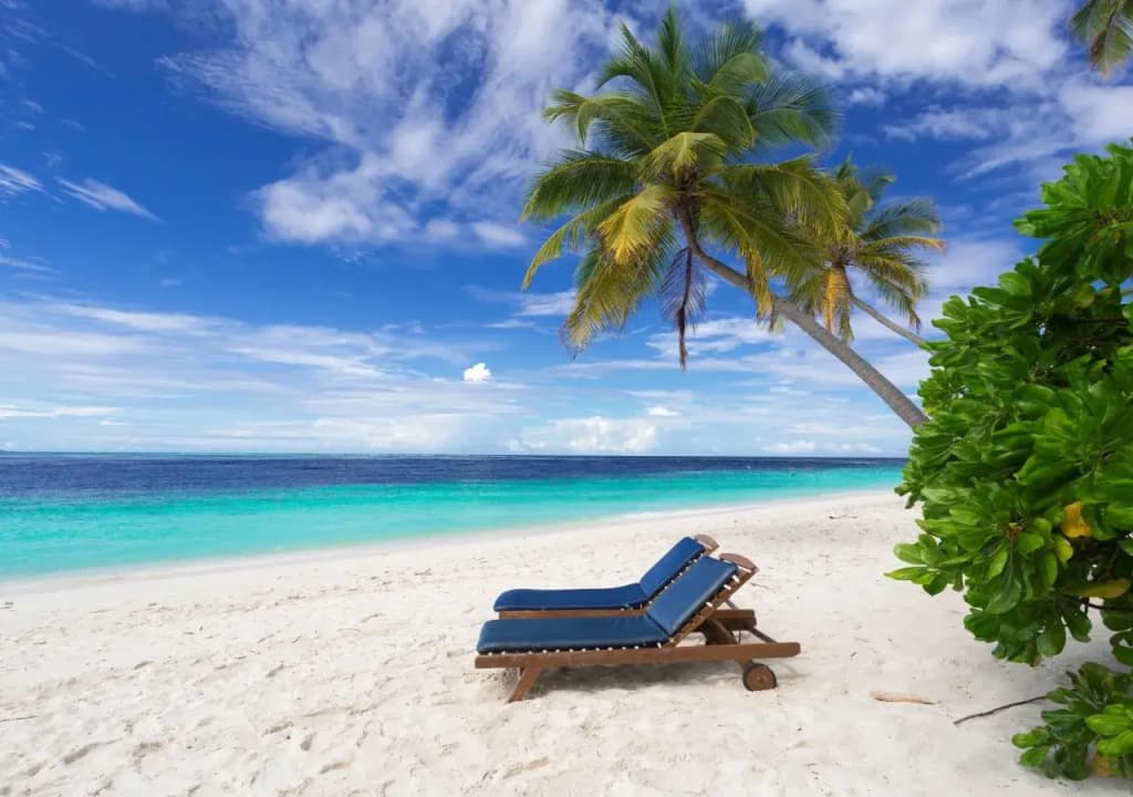 Filitheyo Island Resort - photo 3