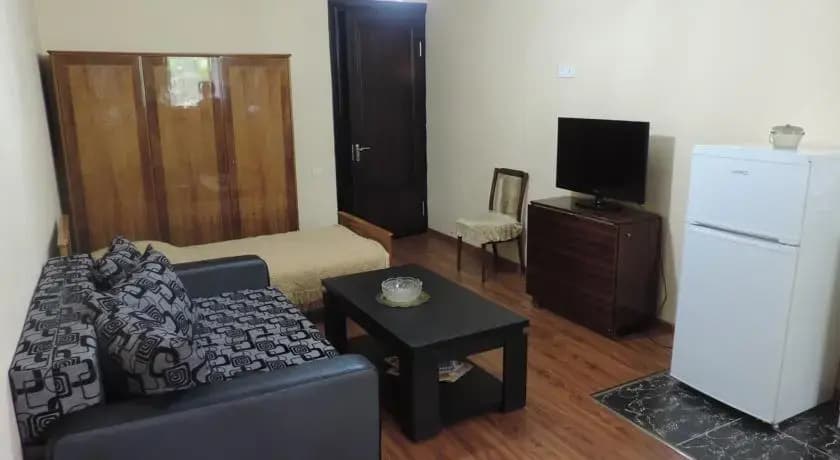 Guest House Dolidze - photo 4
