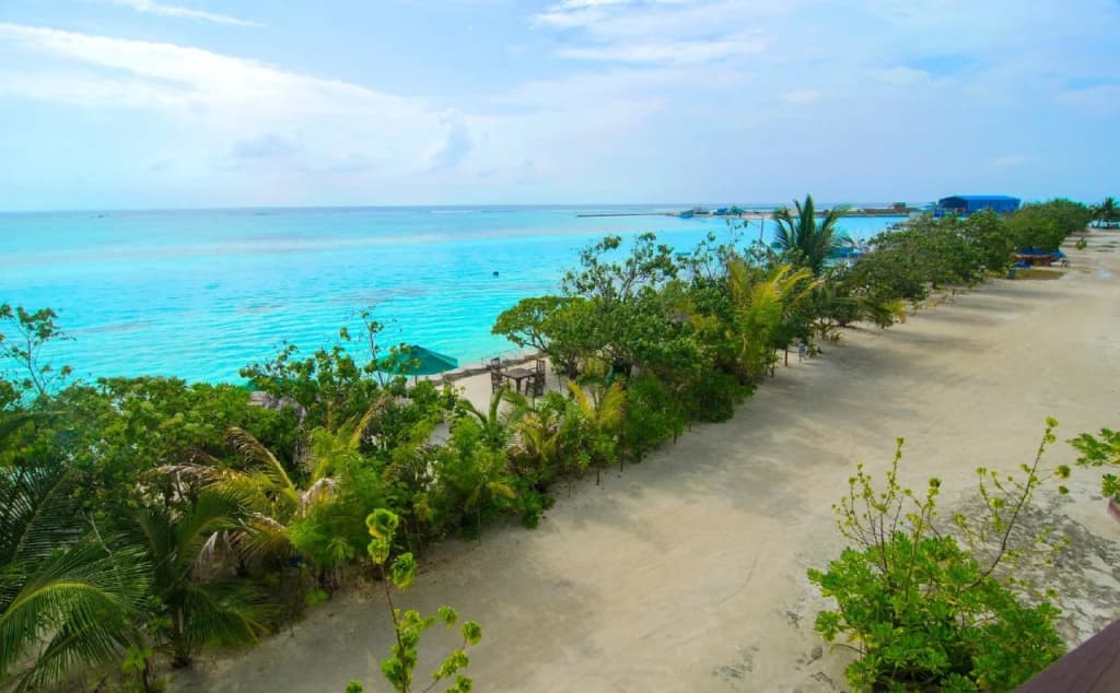 Rashu Hiyaa - photo 18