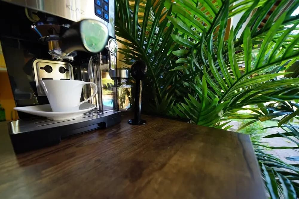 Mangga Bungalow - photo 2