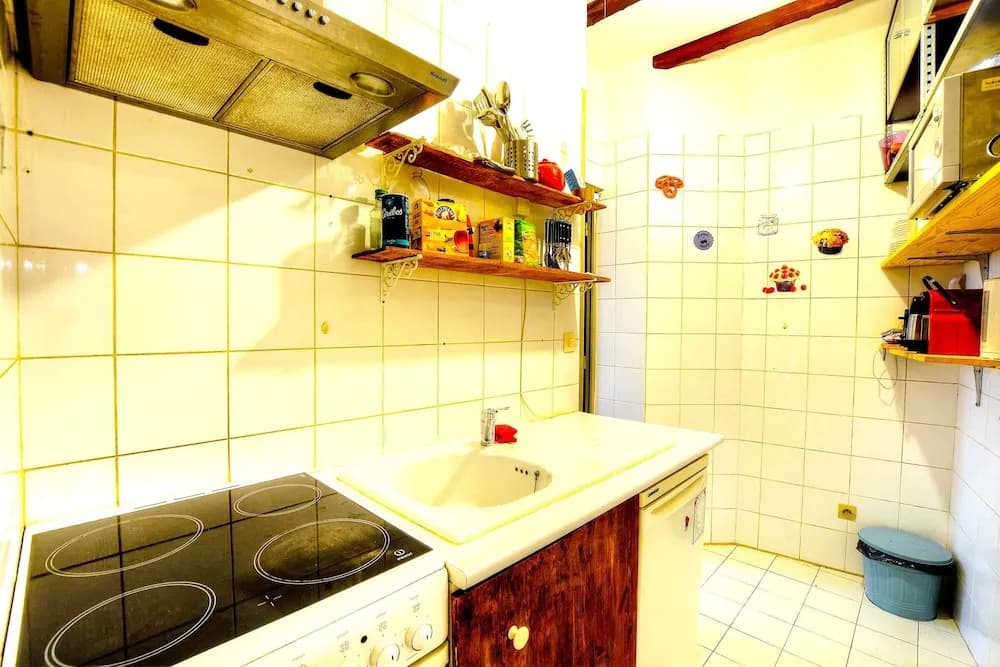 Rustic 1 Bedroom Apartment in Montmarte - photo 5