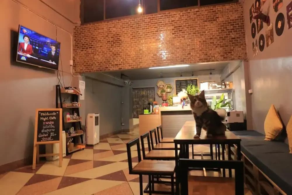 Midsummer Night Hostel - photo 18