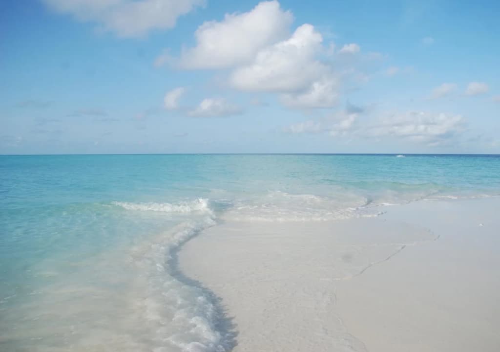Rasreef Rasdhoo Maldives - photo 7