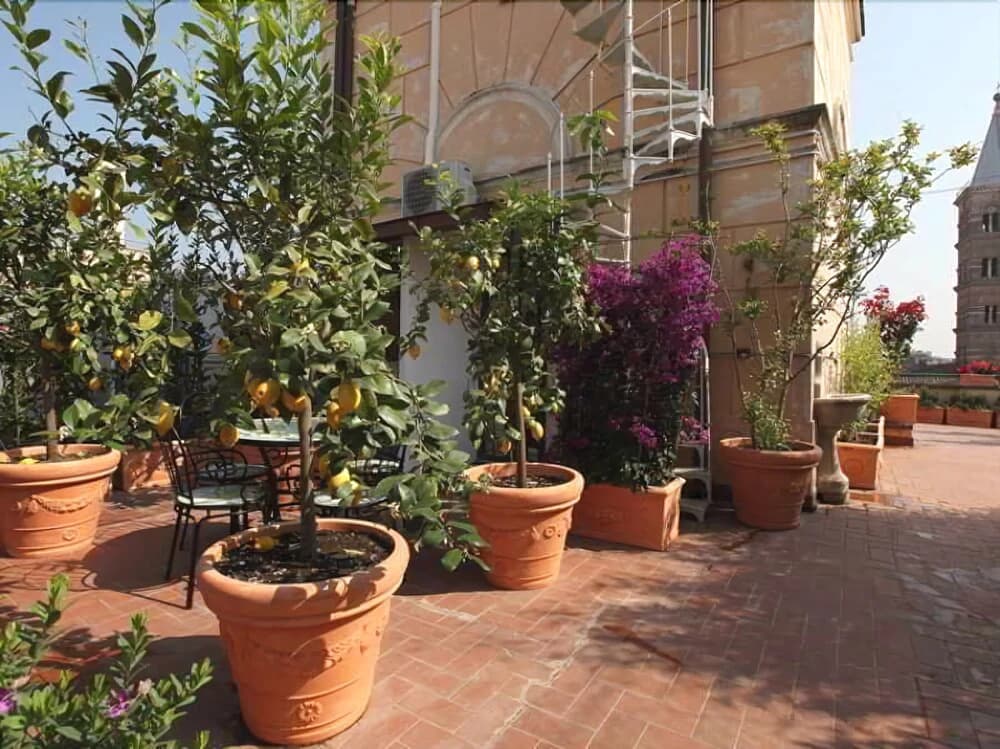 Residenza Torre Paolina - photo 6