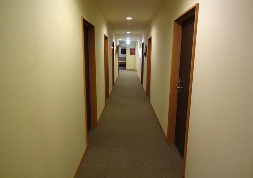 Guesthouse Jiyujin - photo 8