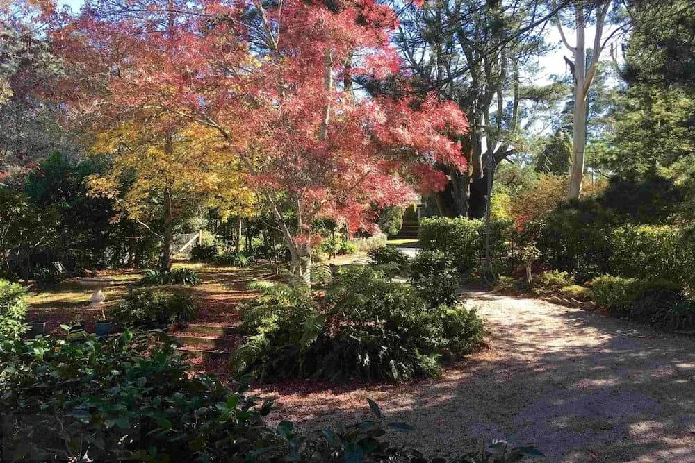 Our Glenbogle - photo 9