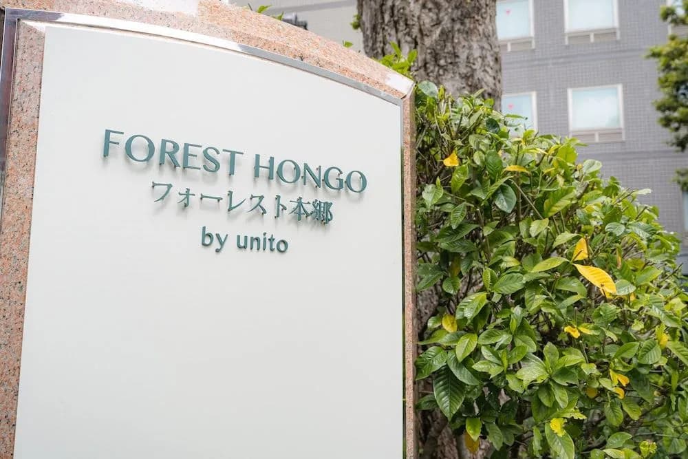 Forest Hongo By Unito - photo 15