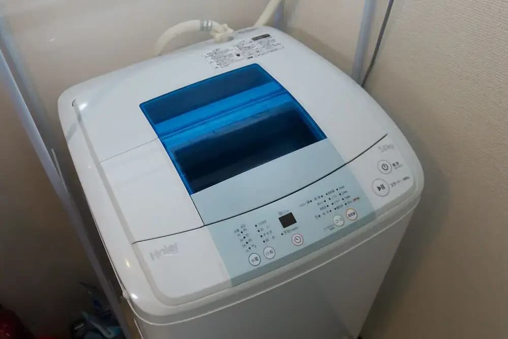 Gojo umeka - photo 4