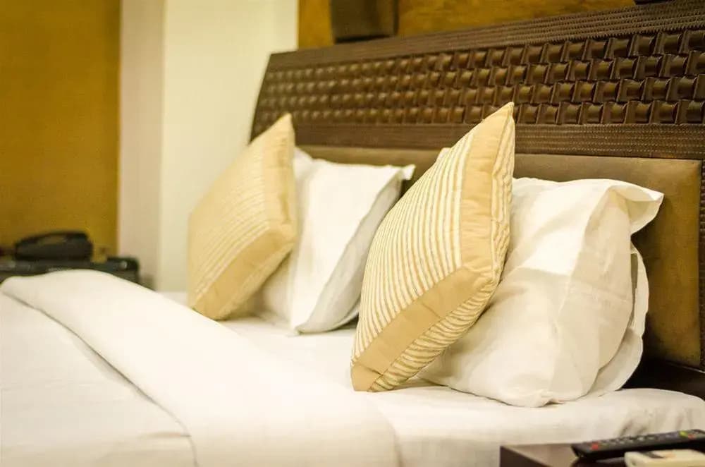 Capital O 312 Hotel Aster Inn - photo 17