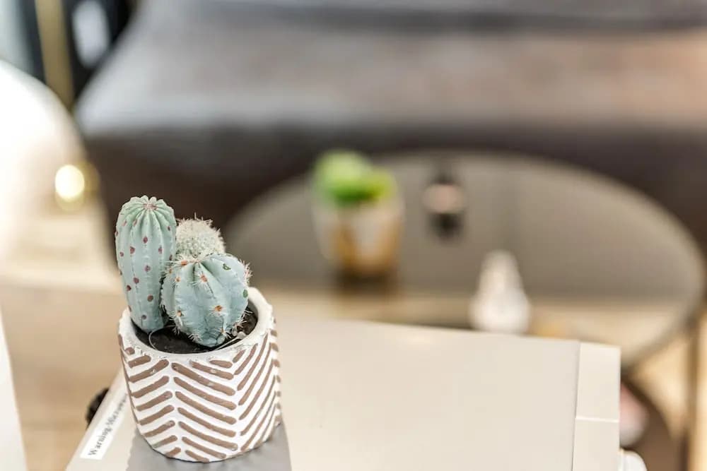 Beautiful Hyde Park Studio Flat - photo 10