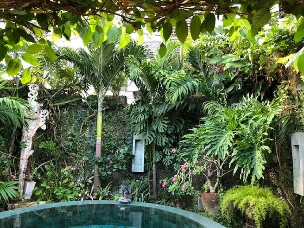 Villa Wonderland - photo 13