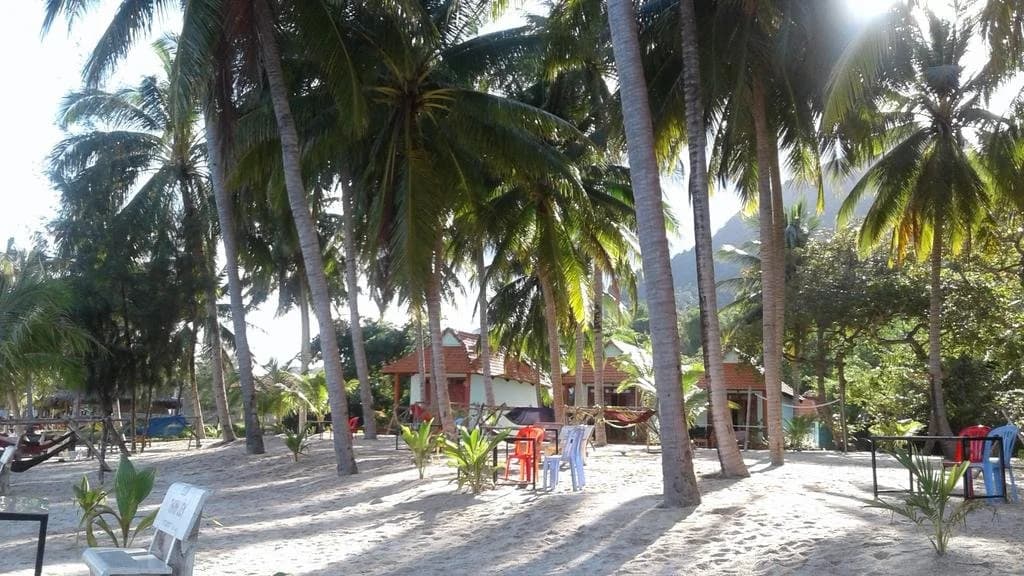 Kiki Coconut Beach Resort - photo 5