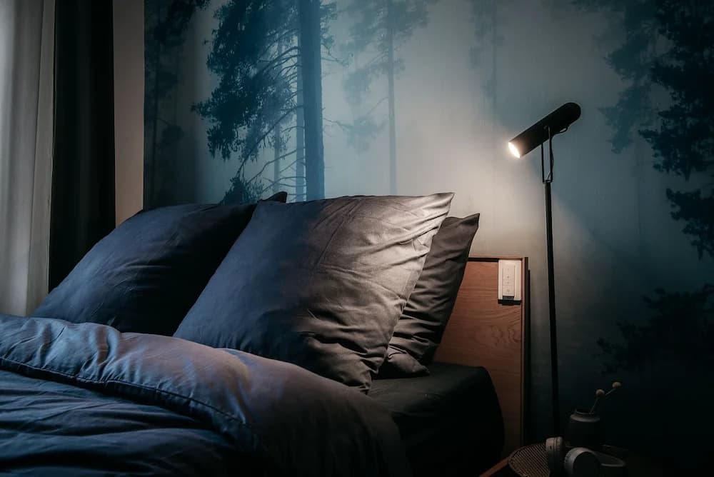URBN Dreams - Misty Forest - photo 2