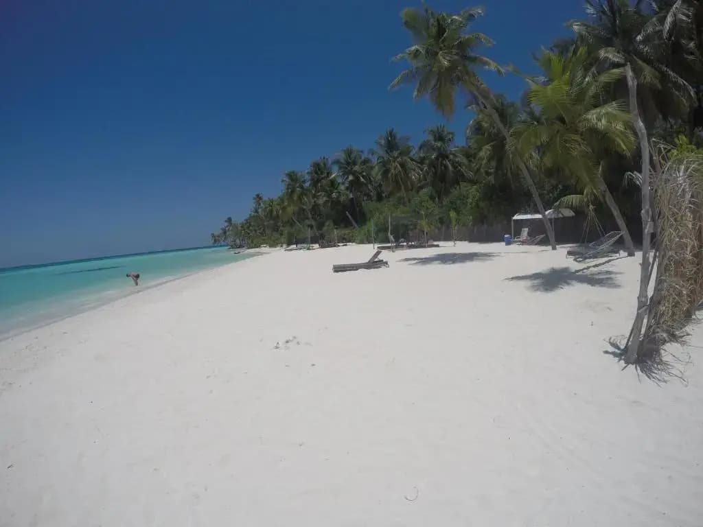Origami Inn Himandhoo - photo 21