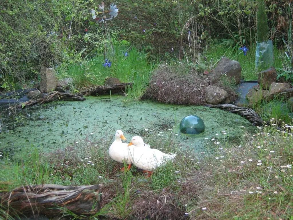 Summerhill Farm B&B - photo 8