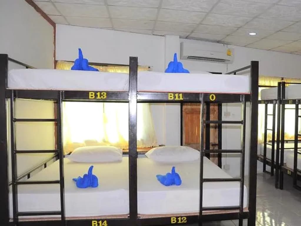 Mickey Hostel - photo 7