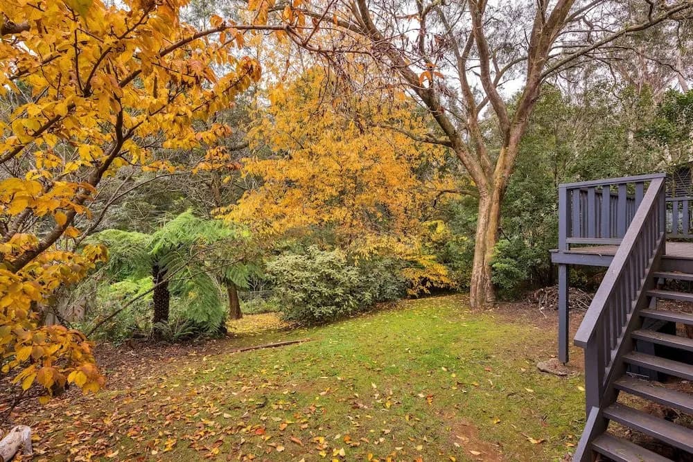 Bunyip Cottage - photo 9