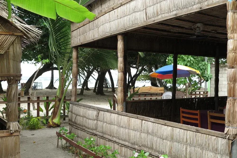 Sancia Lodge - photo 15
