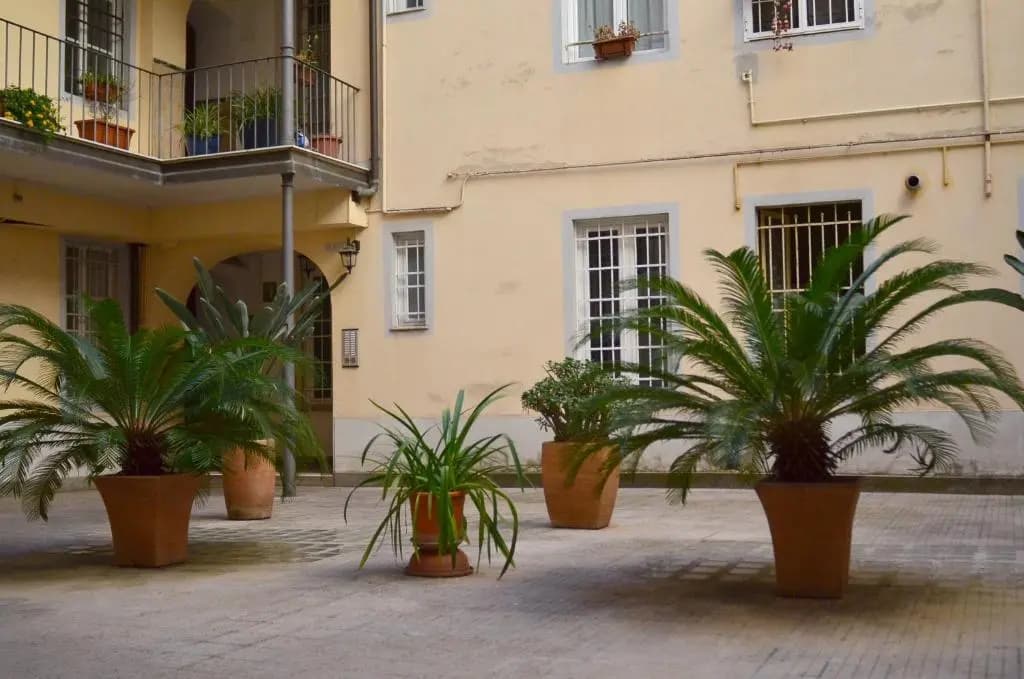 Minerva House - photo 2