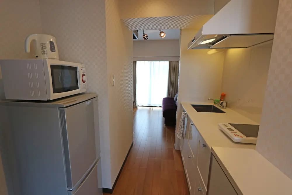 Petit Grande Mirai - photo 15