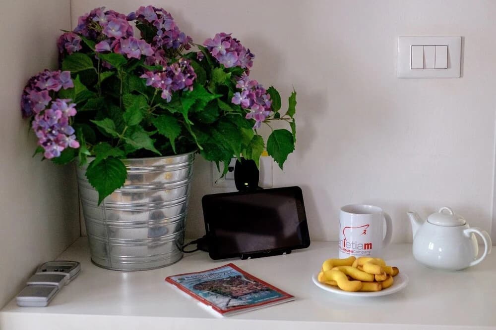 The Lion's House APT5 - photo 16