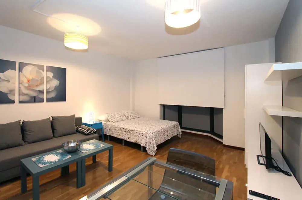Apartamentos Castilla Luz 2 - photo 5