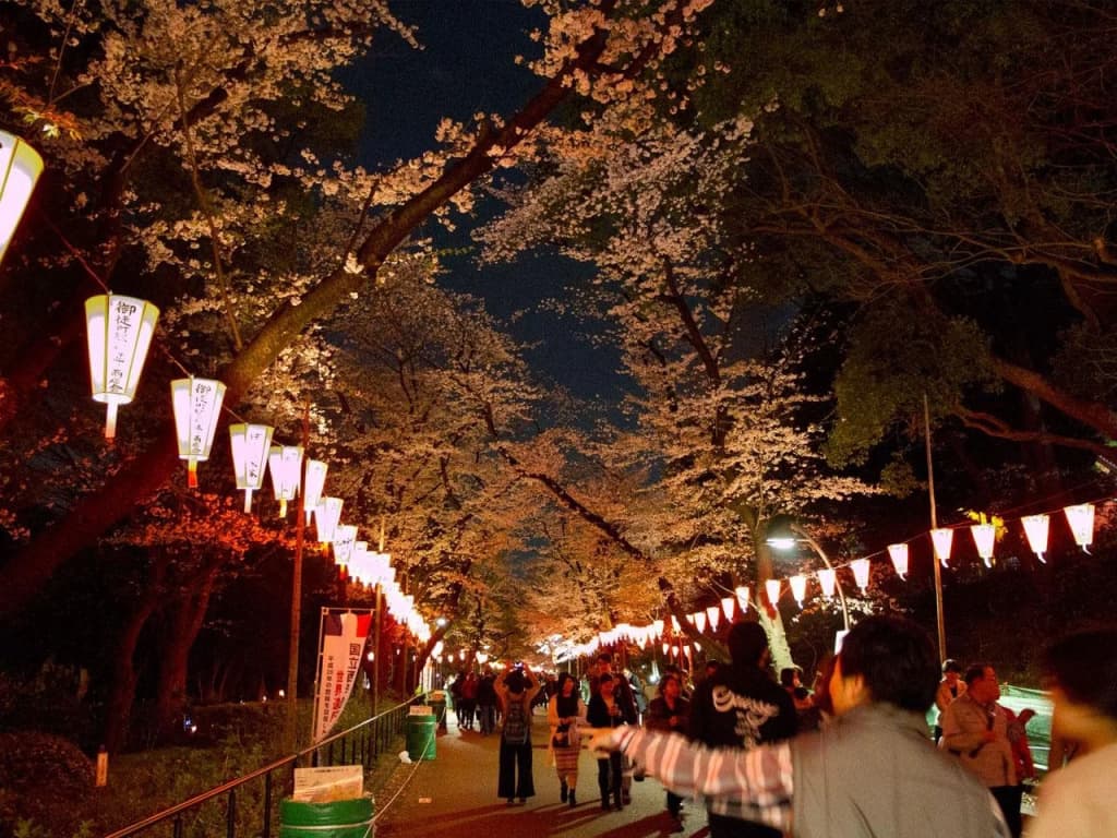 ONE Minowa - photo 21