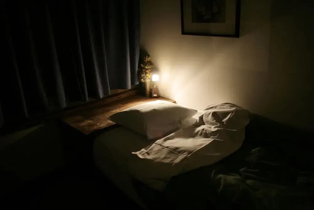 Gojo Guest House Annex - Hostel - photo 4