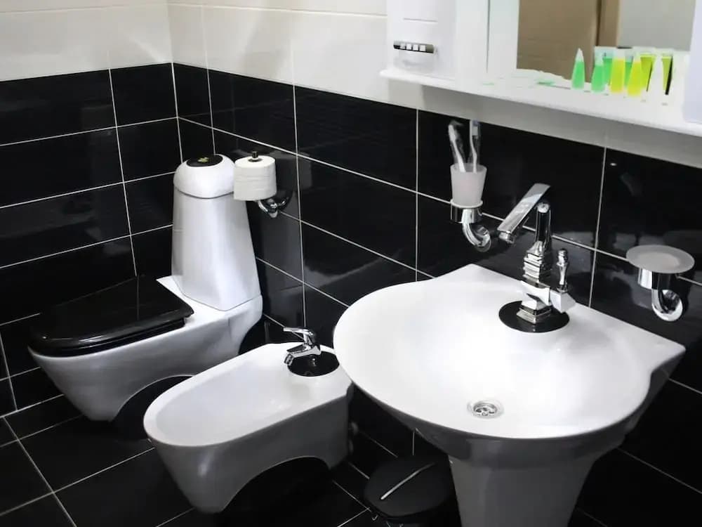 Hotel Luxinn - photo 8